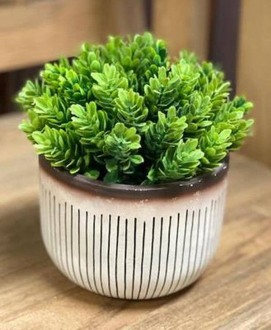 Potted Greenery in Cement Stripe Planter