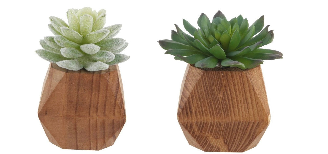 Succulent Geo-Wood Planter