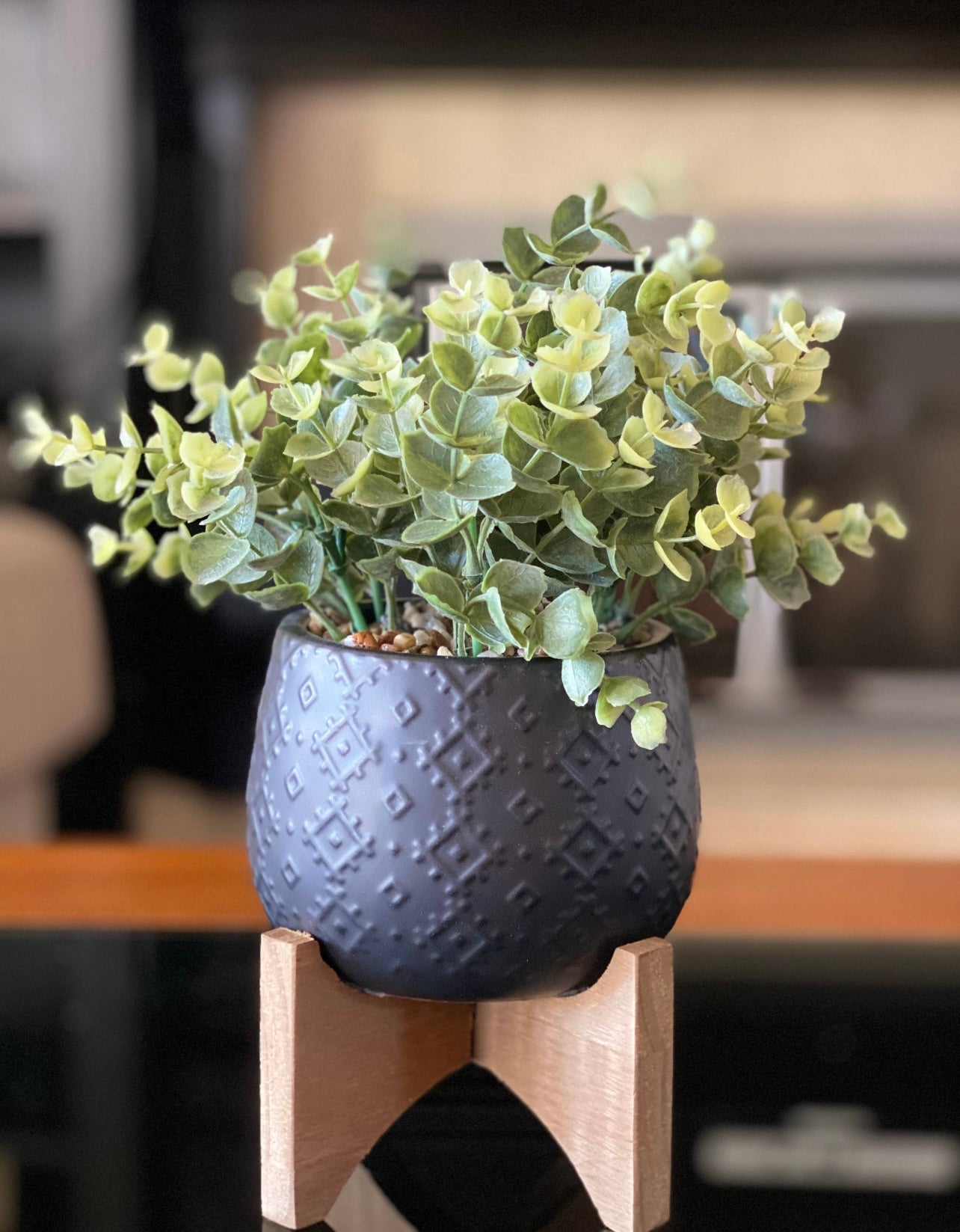 Eucalyptus in Matte Black Pot