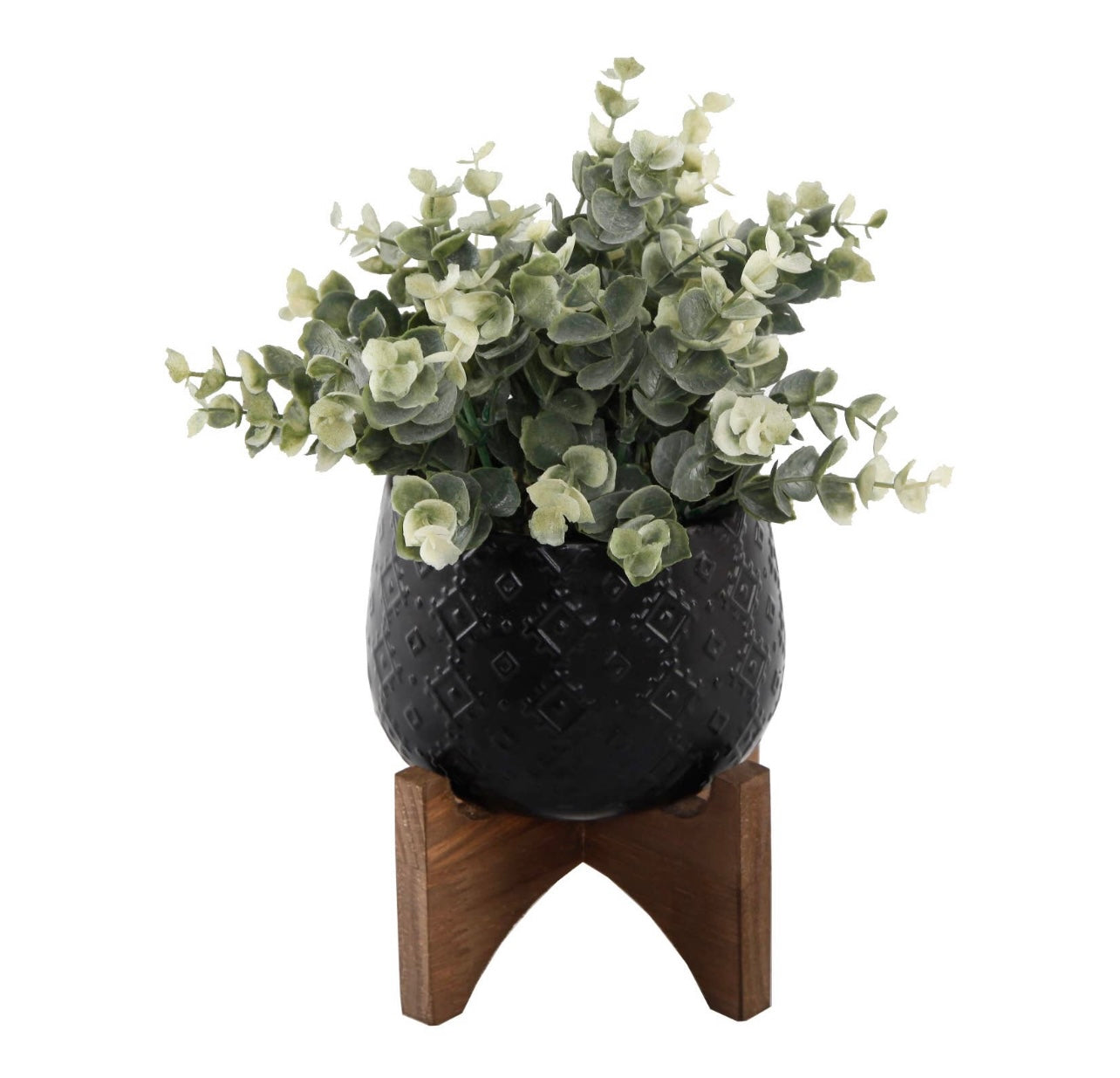 Eucalyptus in Matte Black Pot