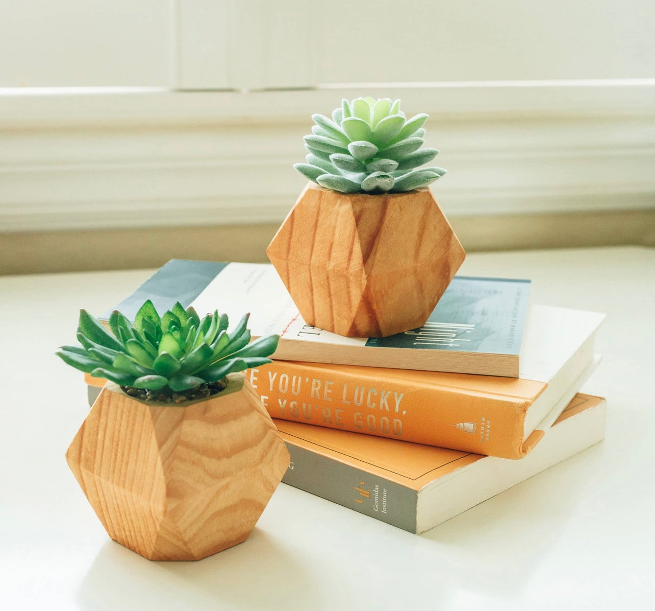 Succulent Geo-Wood Planter