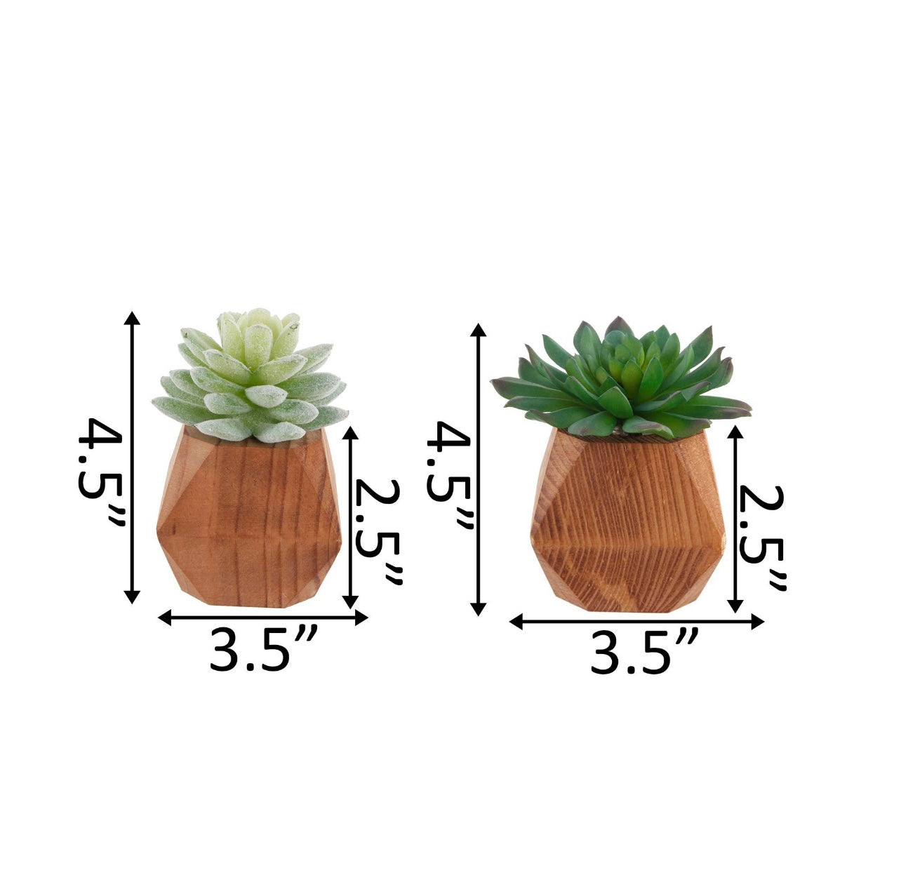 Succulent Geo-Wood Planter