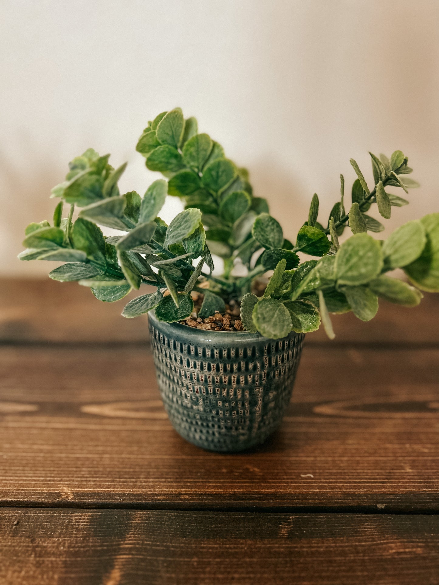 Pot with Eucalyptus